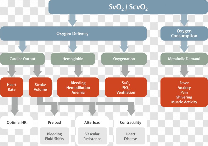 Intensive Care Unit Oxygen Therapy Cardiac Output Medicine Saturation - Diagram - Patient Transparent PNG
