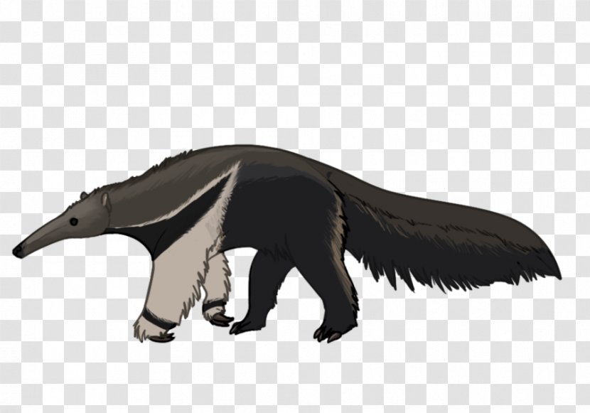 Giant Anteater Drawing Cartoon Sloth - Animal - Snout Transparent PNG