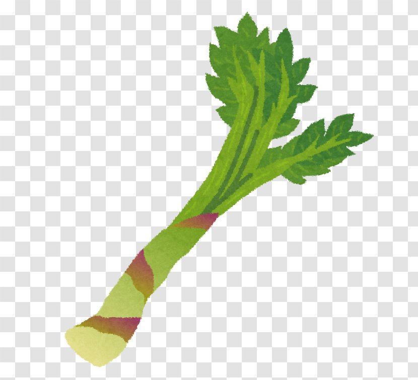 Fuki Sansai Aralia Cordata Tempura Food - Leaf Vegetable - Osmunda Japonica Transparent PNG