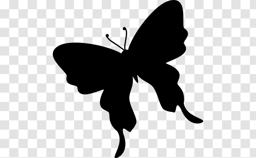 Butterfly Silhouette - Leaf Transparent PNG