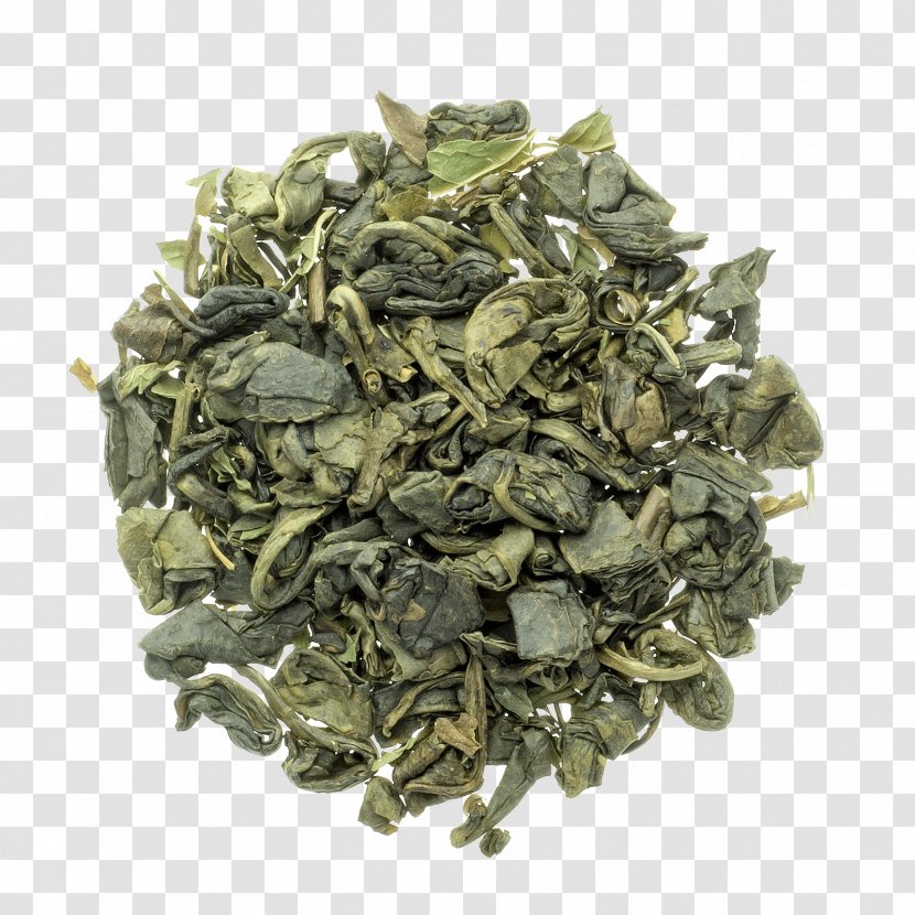 Green Tea Hyson Tieguanyin Nilgiri - Oolong - Mint Transparent PNG