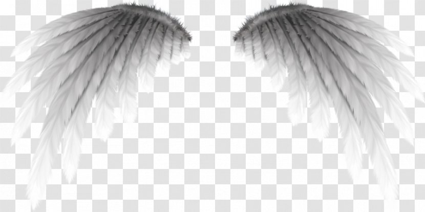Angel Demon Devil Fairy - Pinion Transparent PNG