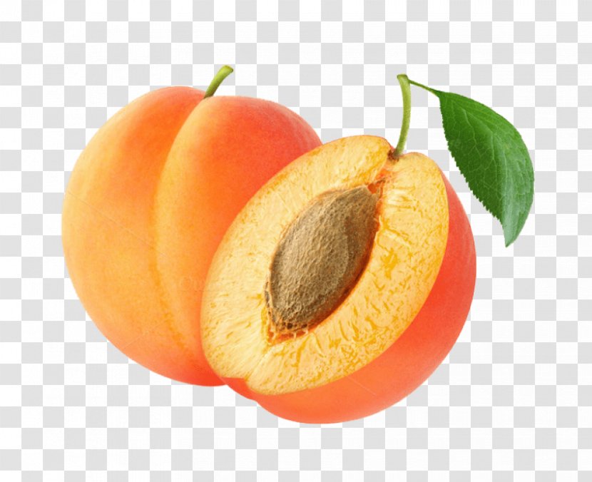 Apricot Clip Art Transparency Fruit Transparent PNG