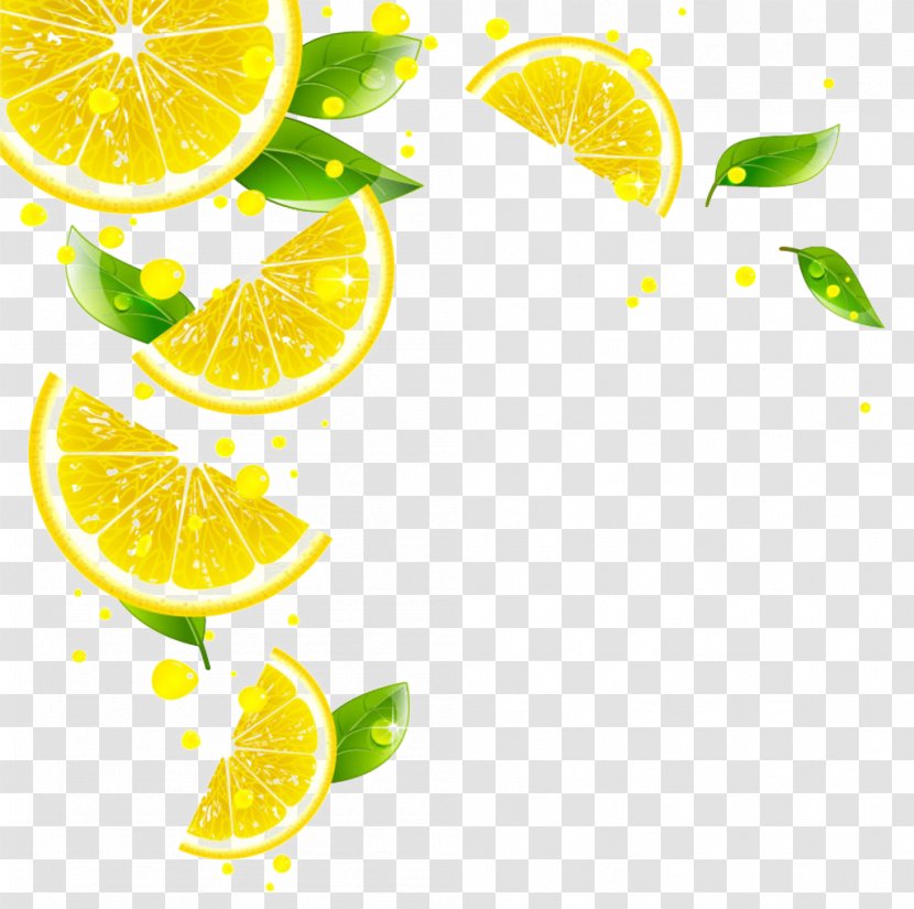 Juice Lemon Key Lime Grapefruit Tangerine - Citric Acid Transparent PNG