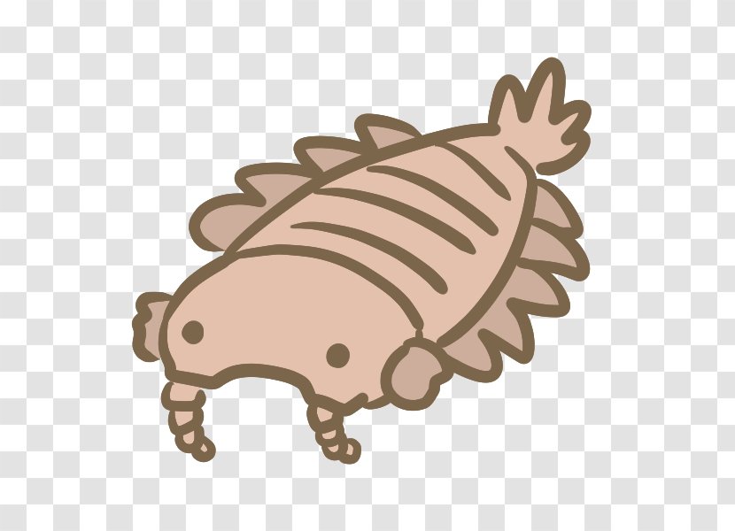 8564 Anomalocaris Illustrator Drawing - Frame Transparent PNG