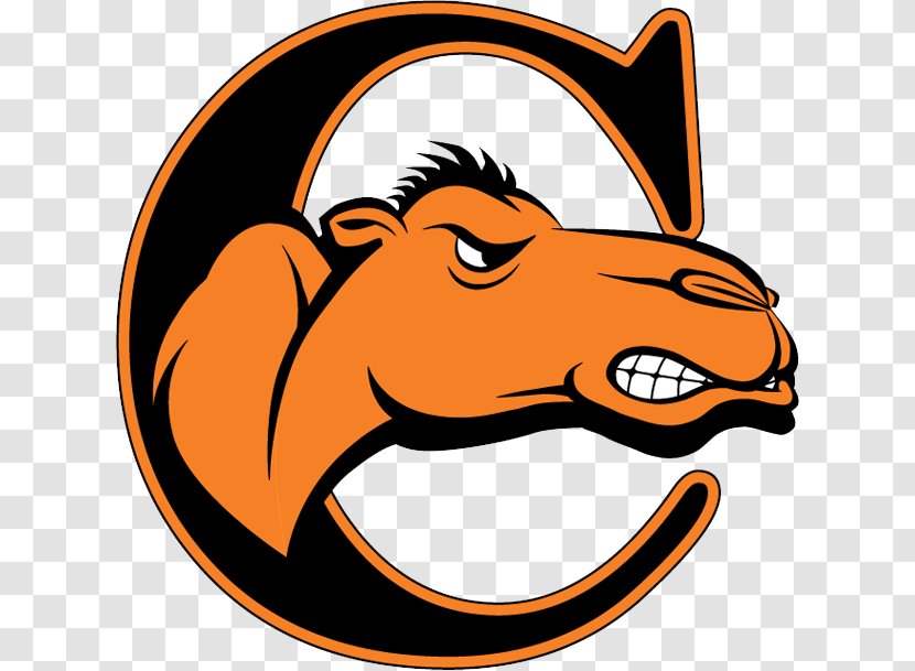 Campbell University Fighting Camels Men's Basketball Women's Football Division I (NCAA) - Snout - Men S Transparent PNG