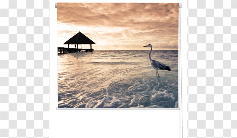 Stock Photography Room - Travel - Beach Sunset Transparent PNG