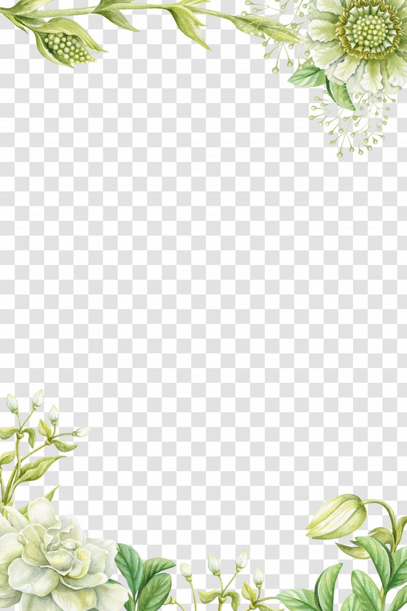 Painting Flower - Green - Hand-painted Borders Transparent PNG