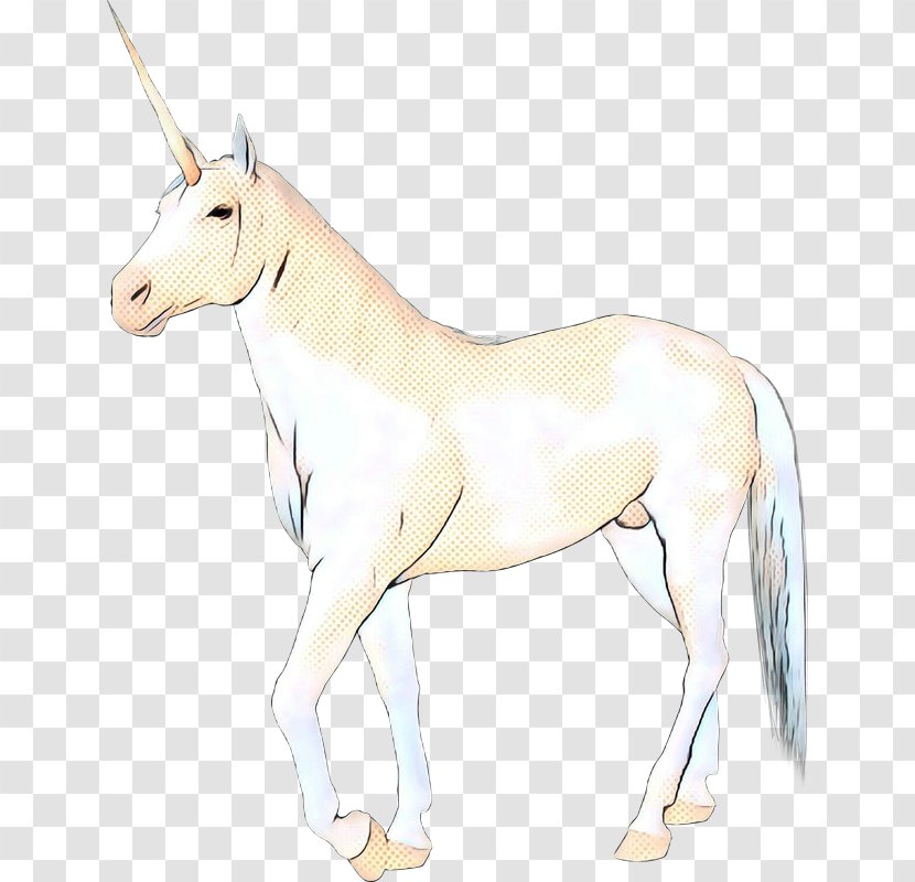 Mule Foal Mare Mustang Stallion - Neck - Donkey Transparent PNG