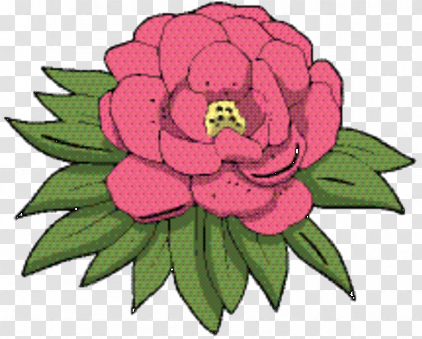 Flowers Background - Peony - Camellia Magenta Transparent PNG