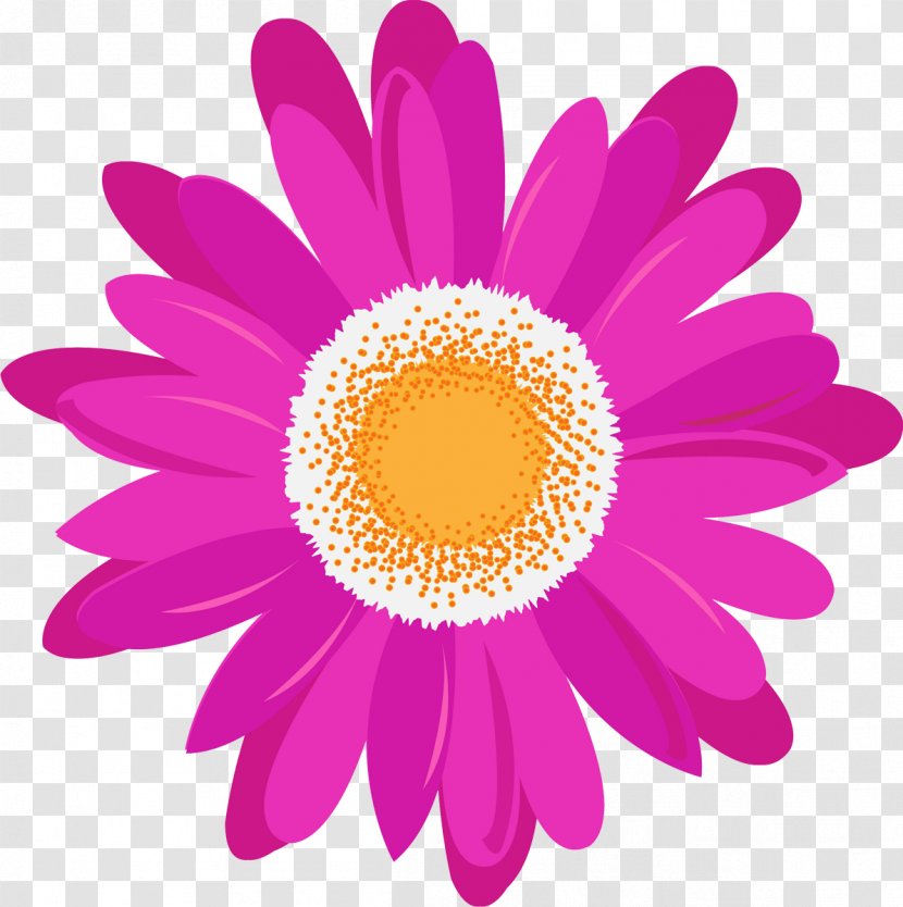 Daisy Family Magenta Pink Purple Violet - Transvaal - Camomile Transparent PNG