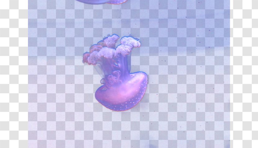 Purple Computer Wallpaper - Pink - Dream Jellyfish Transparent PNG