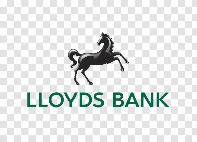 Lloyds Bank Finance Commercial Account - Stallion Transparent PNG