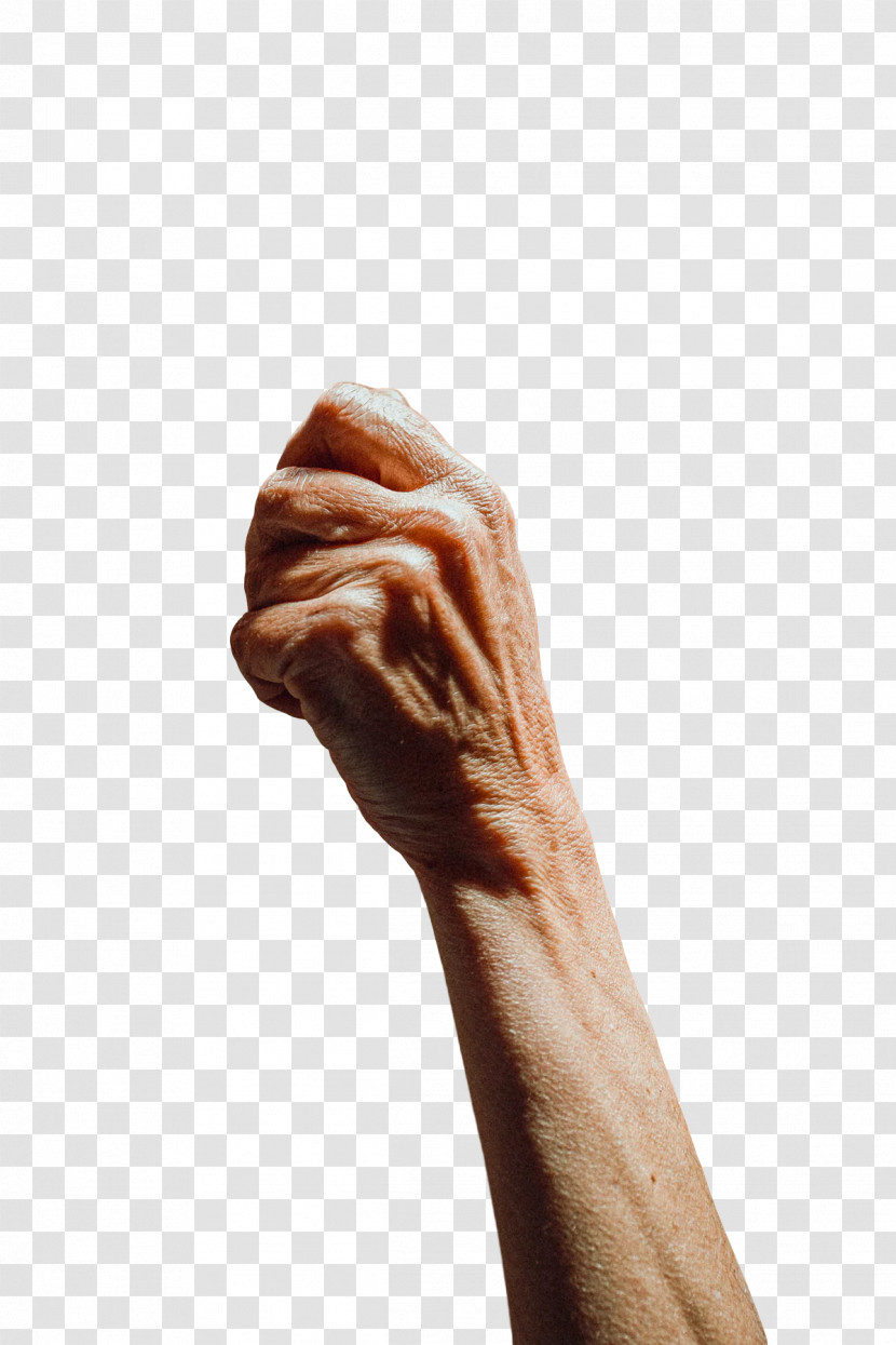 Muscle Arm Cortex-m Close-up H&m Human Transparent PNG