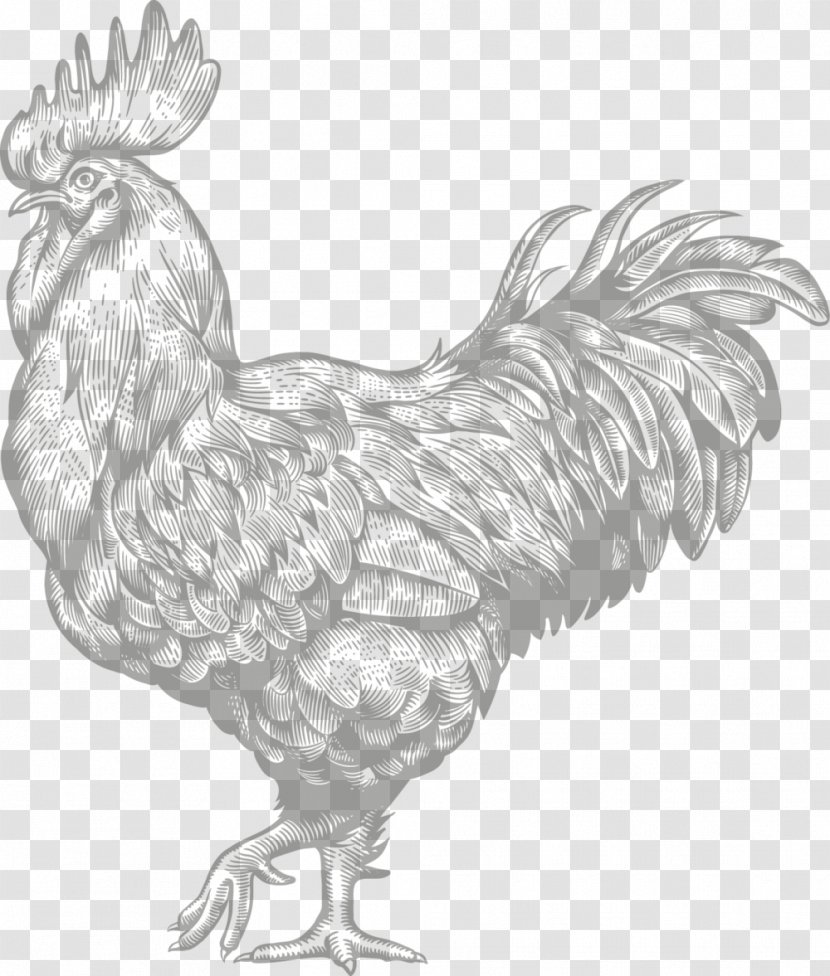 Chicken Rooster Illustration Vector Graphics Restaurant - Monochrome Transparent PNG