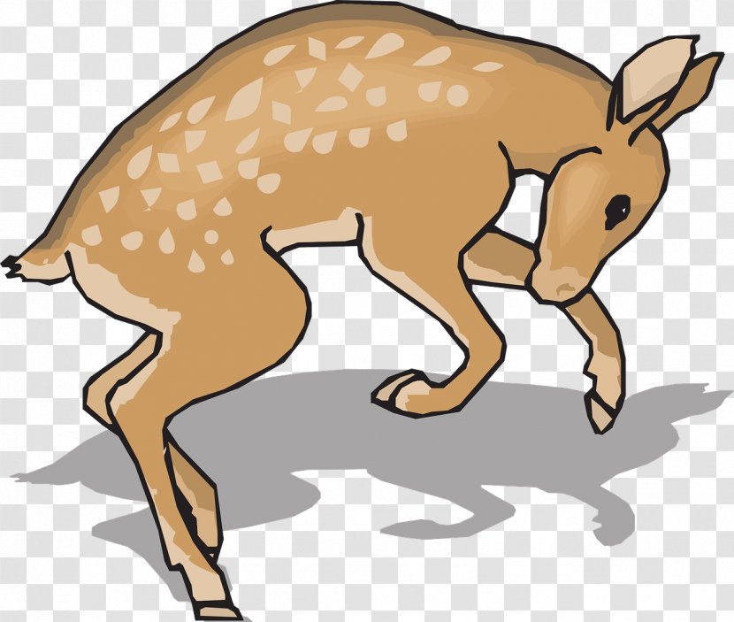 White-tailed Deer Clip Art - Organism - Running Transparent PNG