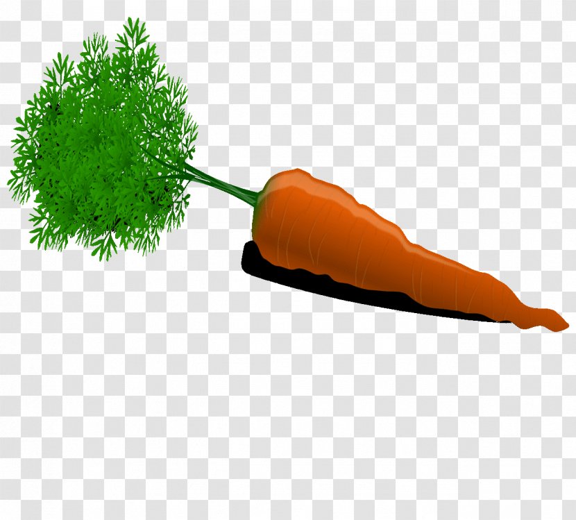 Carrot Auglis Animaatio Clip Art - Orange - Daucus Carota Transparent PNG