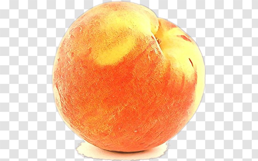 Golden Background - Kidds Orange Red - Citrus Sphere Transparent PNG