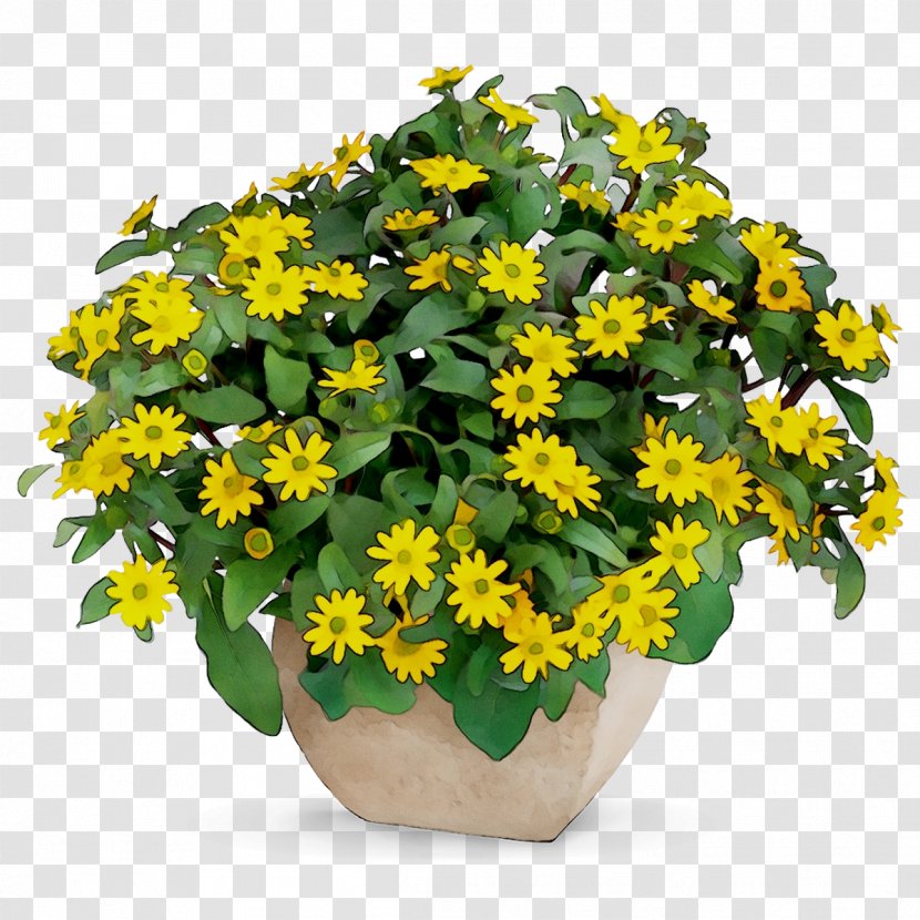 Flowerpot Yellow Houseplant Annual Plant - Plants - Shrub Transparent PNG
