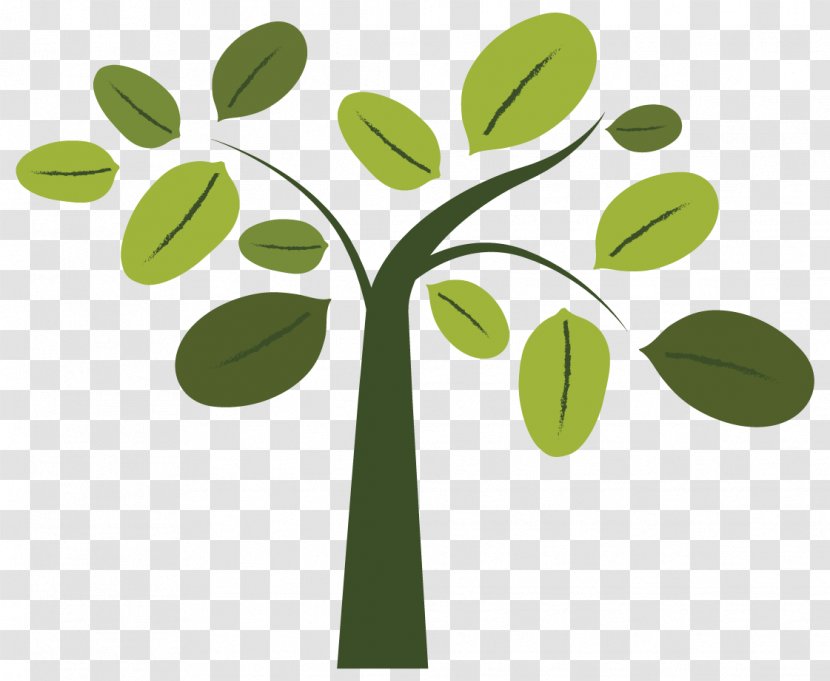 Tree Ecology Stock Photography - Green - Boom Transparent PNG