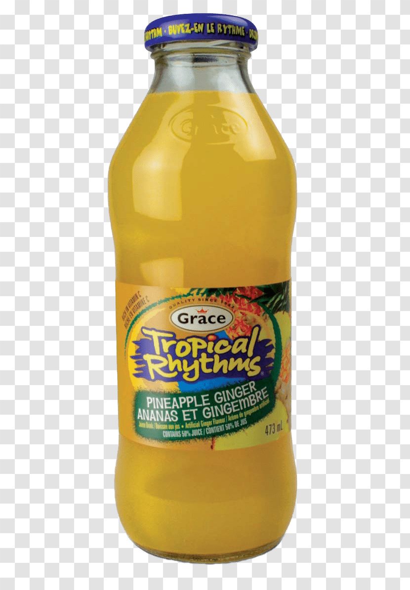 Orange Drink Grace Foods Tropical Rhythms Island Mango Juice From Concentrate Flavor By Bob Holmes, Jonathan Yen (narrator) (9781515966647) - Coconut Water Transparent PNG