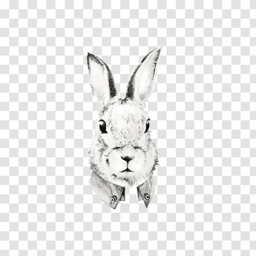 Domestic Rabbit Watercolor Painting Portrait Drawing Illustration - Hare Transparent PNG