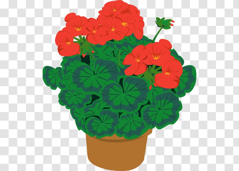 Clip Art: Transportation Flowering Pot Plants Houseplant Openclipart - Geraniales - Geranium Transparent PNG