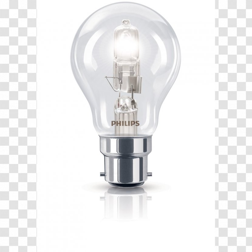 Incandescent Light Bulb Halogen Lamp Edison Screw - Bulbs Transparent PNG