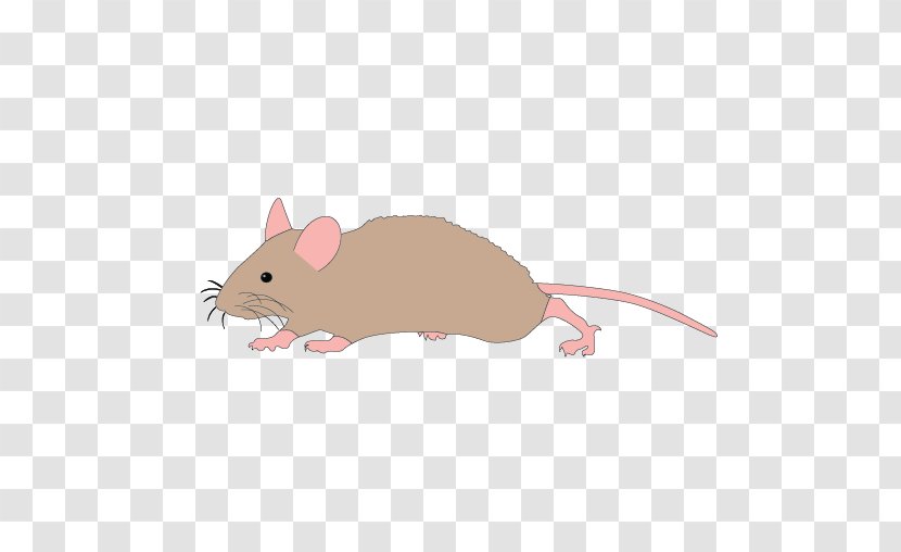 Mickey Mouse Rat Computer Clip Art - Free Content - Running Cliparts Transparent PNG