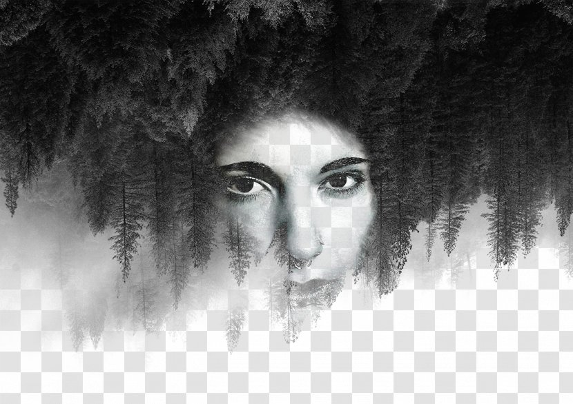 Photography James VIII Song I Couldve Helped - Frame - Facial Hair Illustration Creative Background Trees Transparent PNG