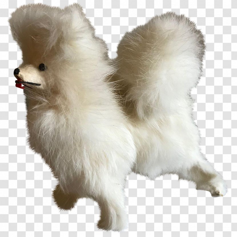 German Spitz Klein Mittel Japanese Pomeranian American Eskimo Dog - Breed - Snout Transparent PNG