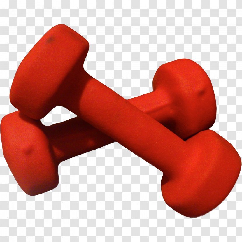 Weight Training Dumbbell Hand Physical Strength Exercise - Muscle Transparent PNG