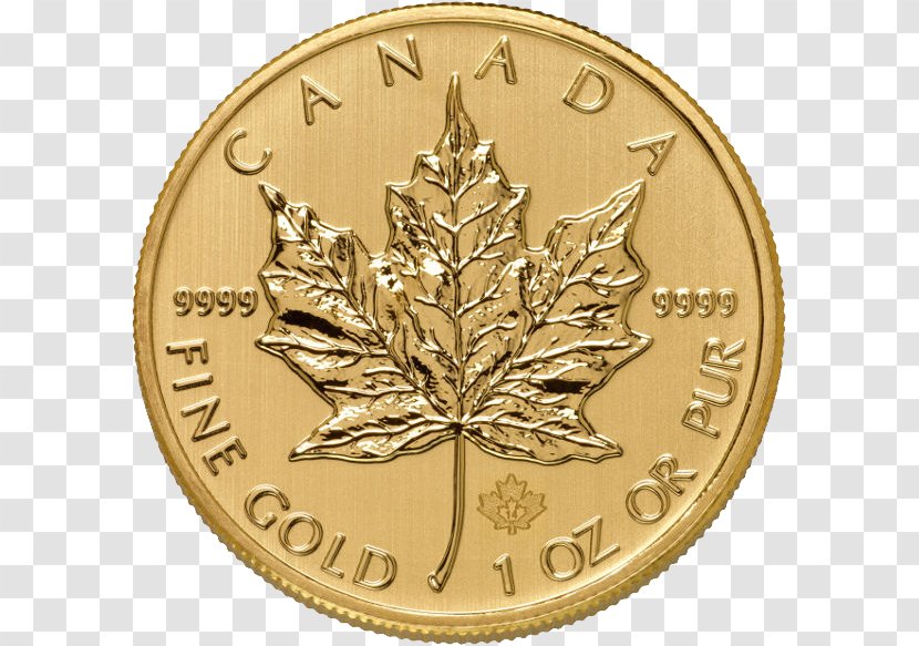 Canada Canadian Gold Maple Leaf Coin - Image Transparent PNG