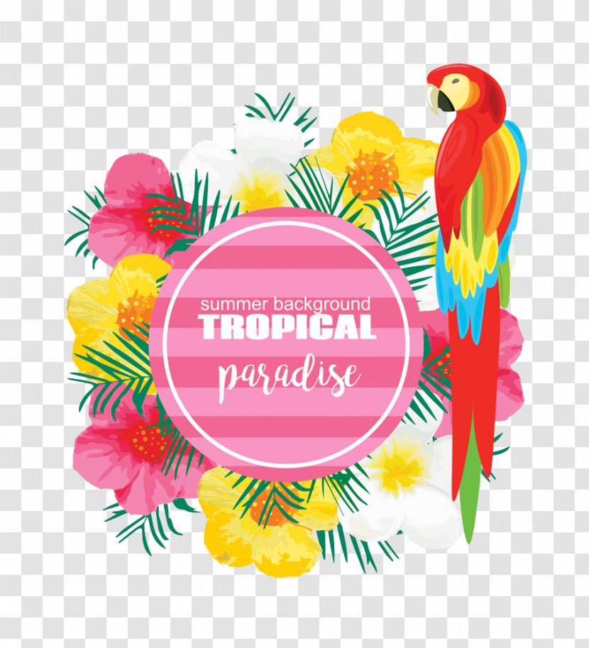 Poster Photography Illustration - Pattern With Parrot Transparent PNG