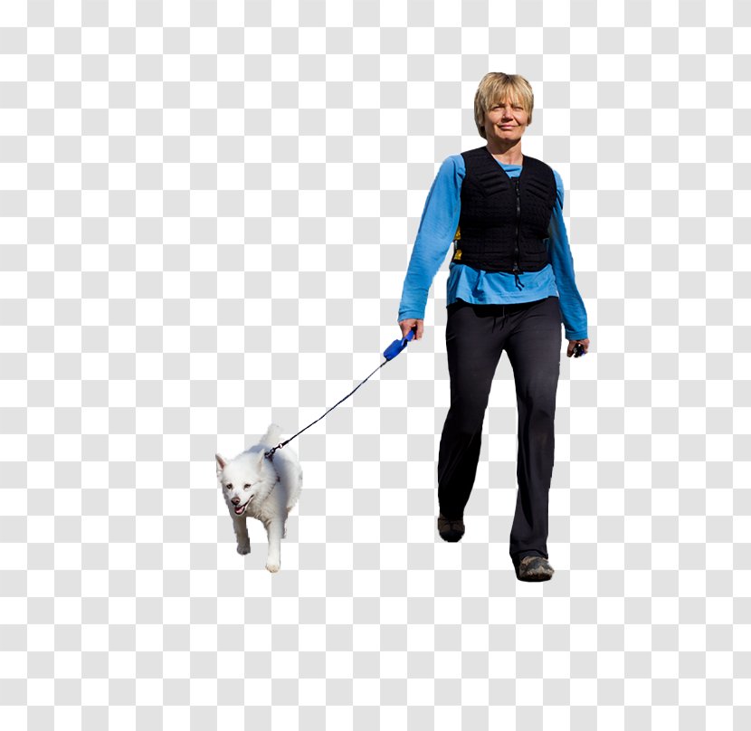 Dog Walking Leash Pet Collar - Puppy Transparent PNG