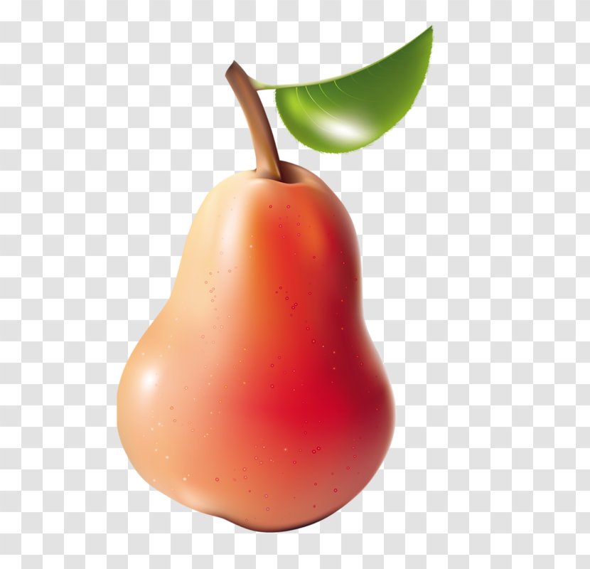 Pear Clip Art Fruit Photography Food - Apple Transparent PNG