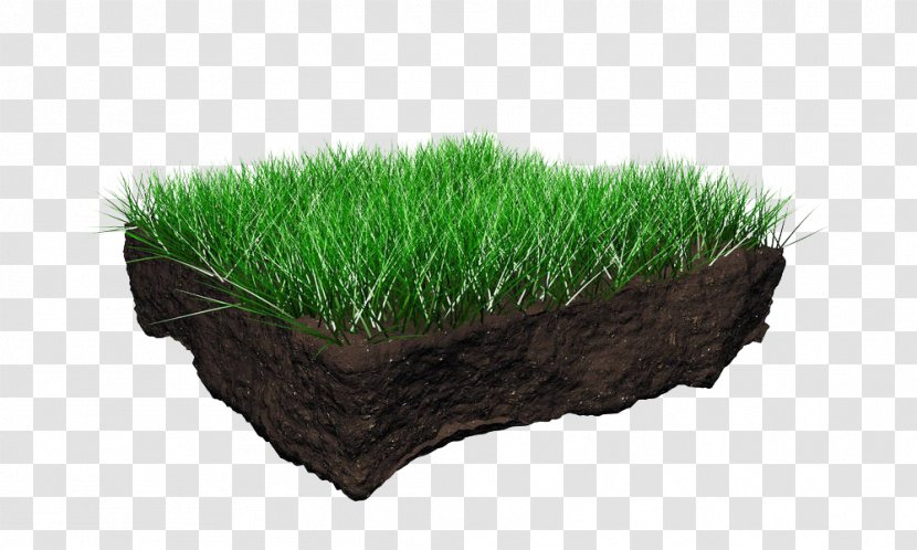 Soil Horizon Stock Photography Structure - Grass Family - Turf Profile Transparent PNG
