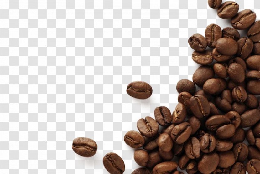 Coffee Bean Espresso Cafe Kopi Luwak - Superfood - Black Beans Transparent PNG