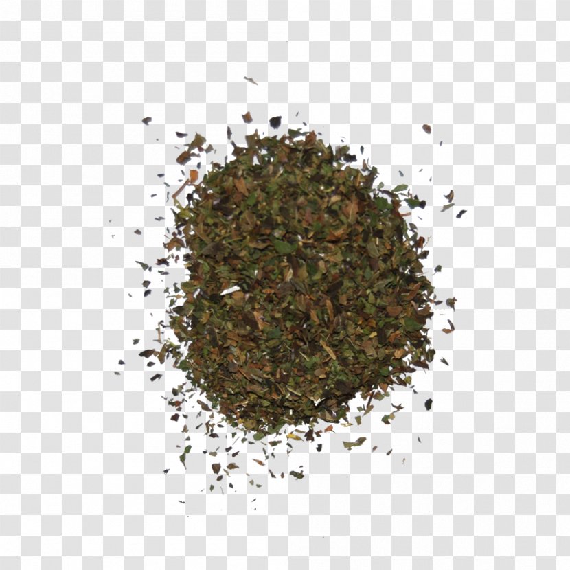 Seasoning The Herb Shop Spice Basil - Tea Transparent PNG