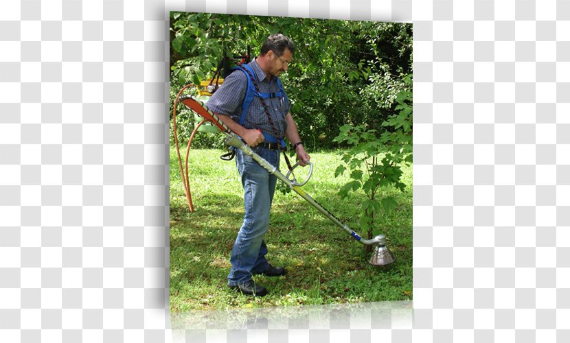 String Trimmer Edger Lawn Mowers Tree - Herbage Transparent PNG