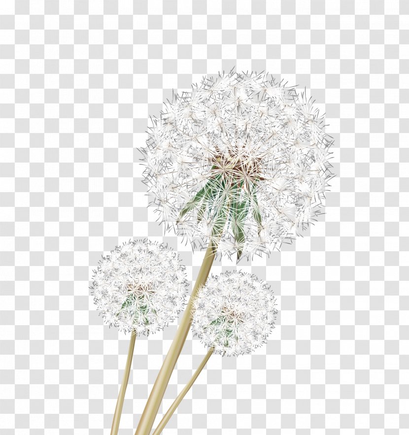 Dandelion Download Google Images - Flower - HD Vivid Transparent PNG