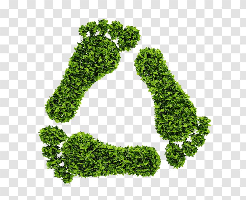 Recycling Symbol Ecological Footprint Ecology Environmentally Friendly - Carbon - Environmental Protection Green Leaves Footprints Transparent PNG
