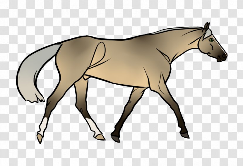 Mule Foal Stallion Mare Mustang - Watercolor - Shots Fired Art Transparent PNG