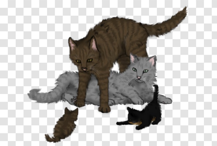 Kitten Cat Warriors Ferncloud Dustpelt - Brambleclaw Transparent PNG