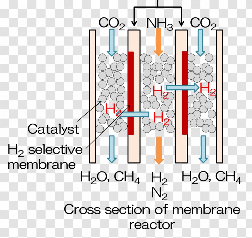 Membrane Technology Reactor Chemical Gas Separation Bioreactor - Selective Reduction Transparent PNG