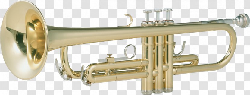 Trumpet Brass Instrument Musical - Cartoon Transparent PNG