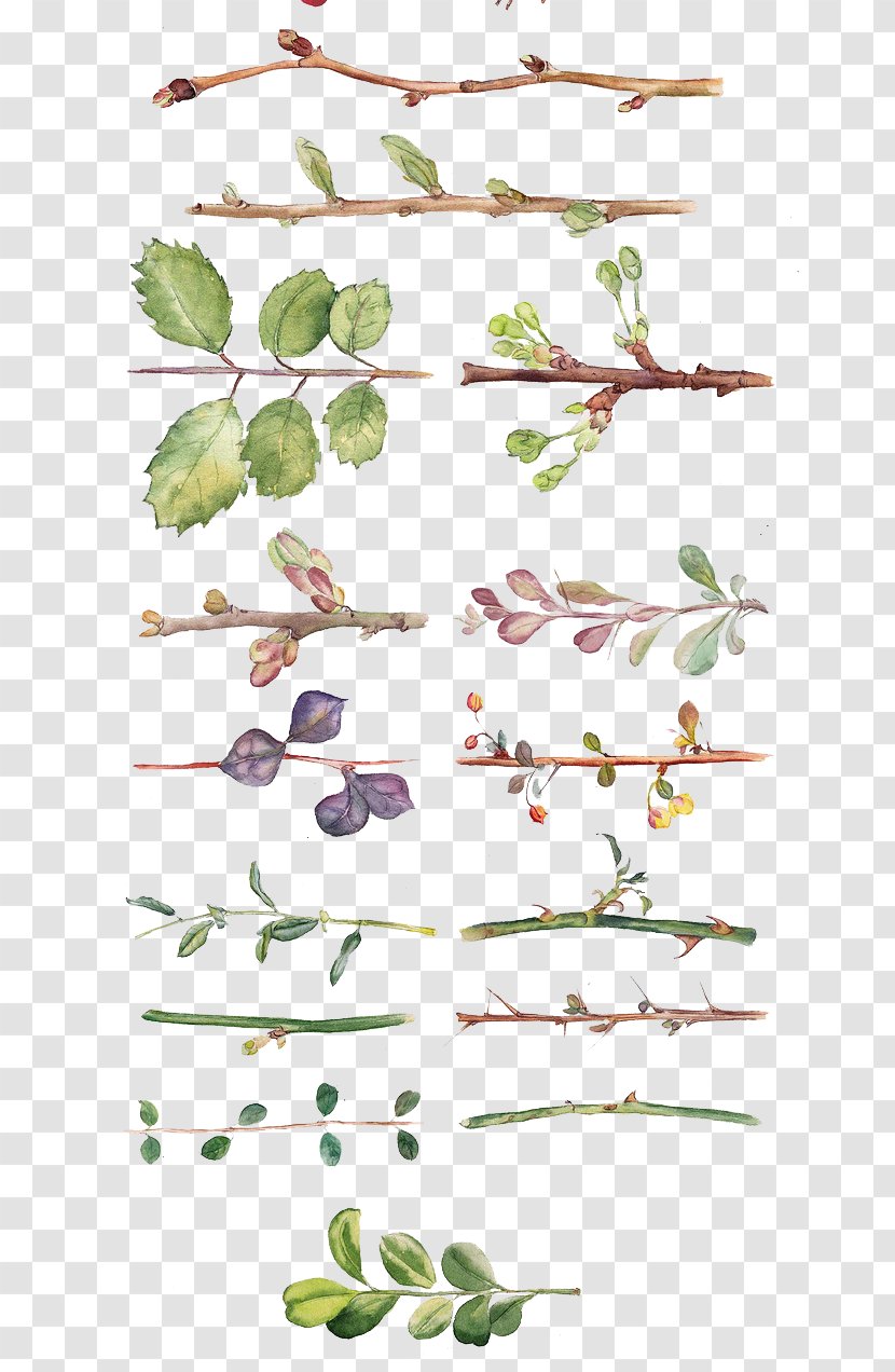 Flower Watercolor Painting Drawing Floral Design - Work Of Art - All Kinds Hand-painted Leaves And Branches Transparent PNG