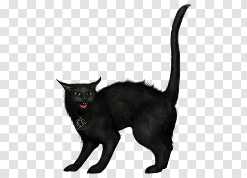 Bombay Cat Clip Art Black Image - Halloween Transparent PNG