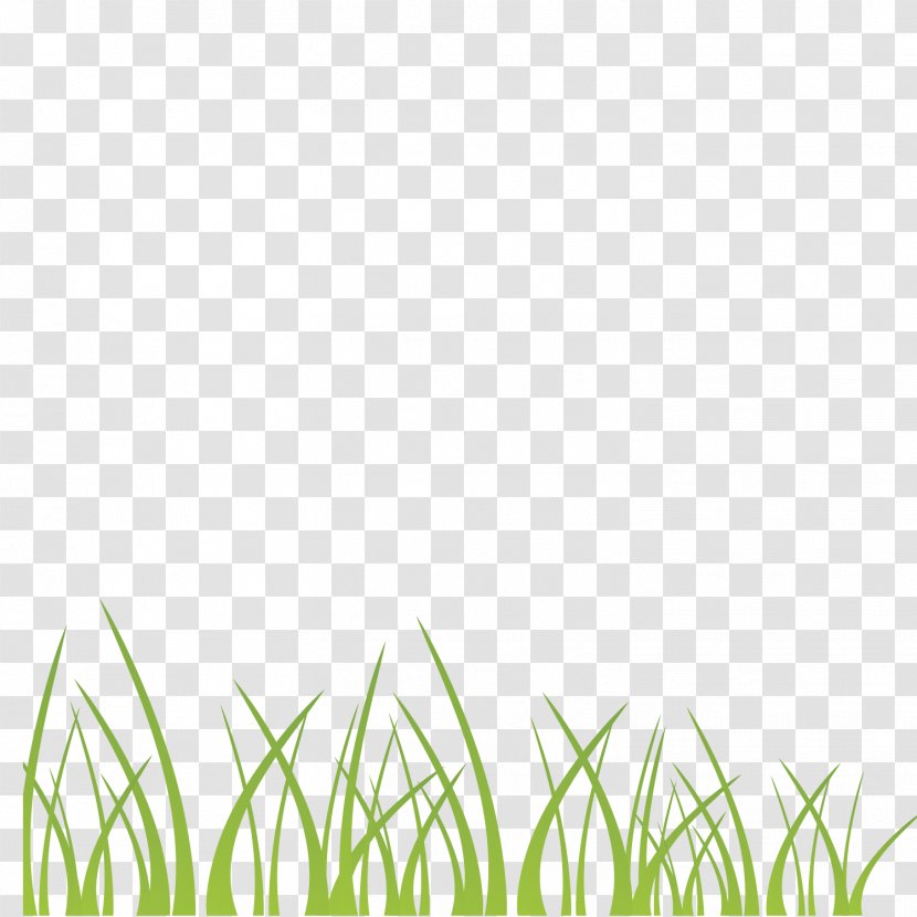 Vector Green Grass Decoration Illustration Background - Rgb Color Model Transparent PNG