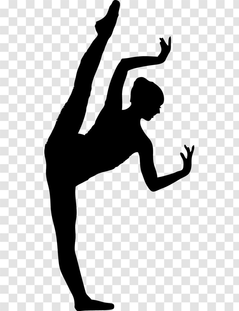 Ballet Dancer Silhouette - Joint Transparent PNG